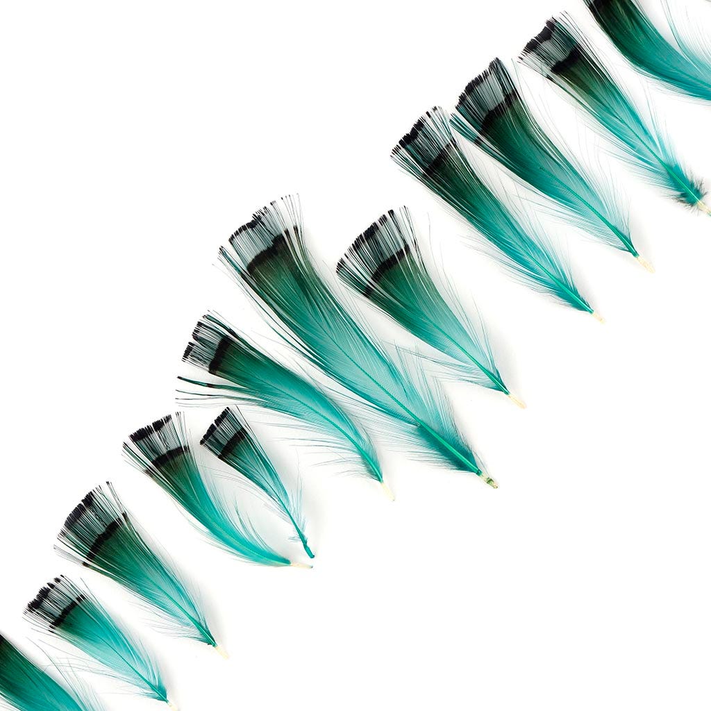 Pheasant Golden Crest Plumage 1-3.5’’ - Aqua Marine - Feathers