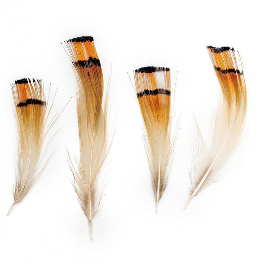 Pheasant Golden Crest Plumage 1-3.5’’ Natural - Feathers