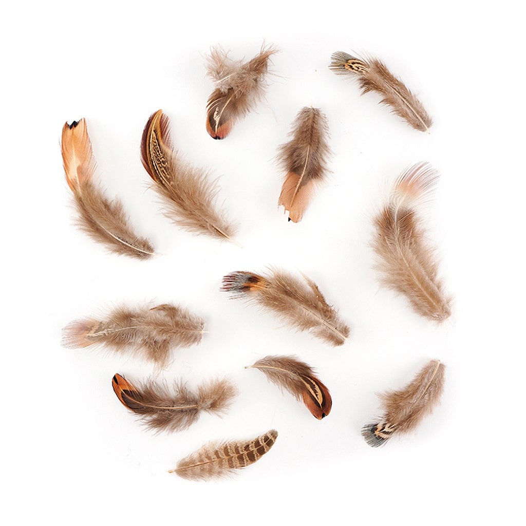 Pheasant Plumage Mix Natural - Natural - Feathers