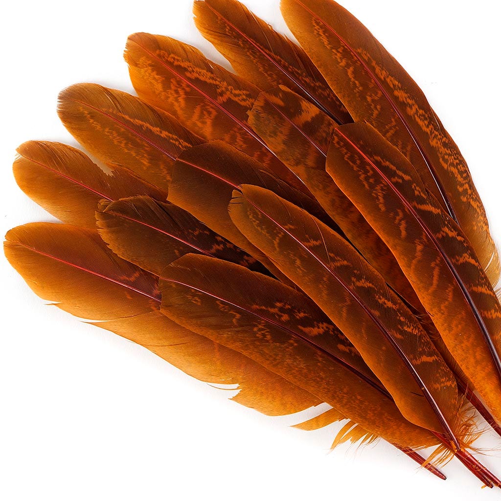 Pheasant Tail Feathers Dyed - Marigold - Feathers