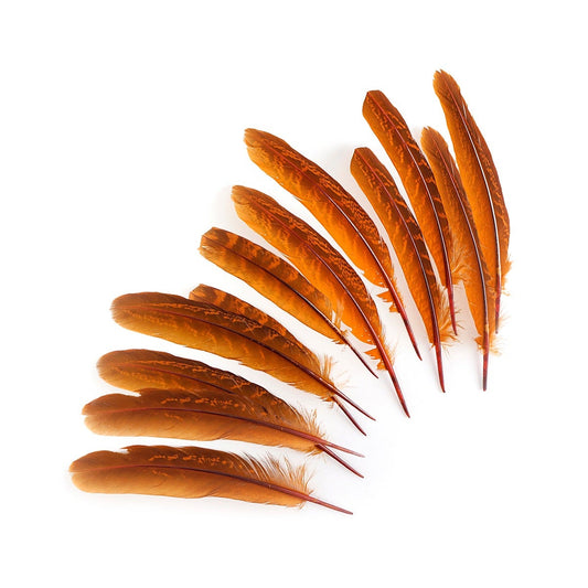 Pheasant Tail Feathers Dyed - Marigold - Feathers