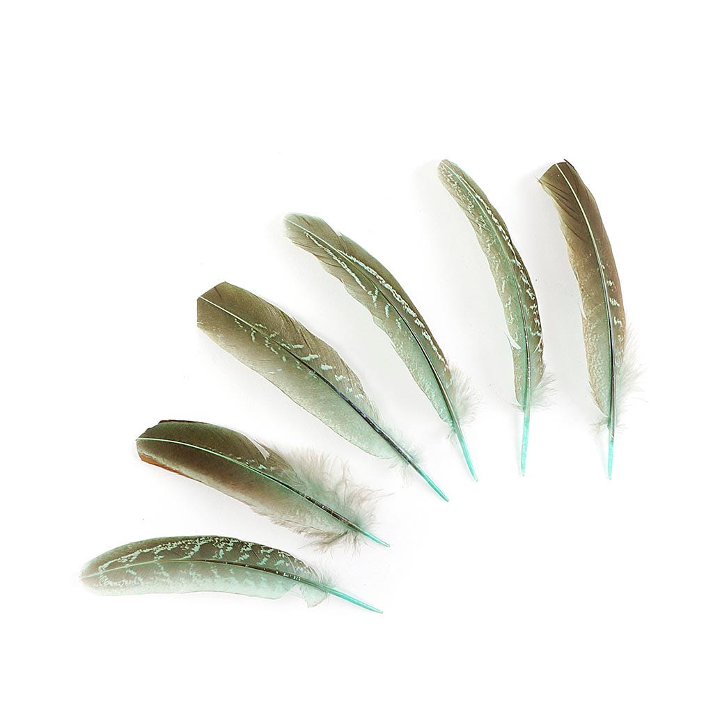 Pheasant Tail Feathers Dyed - Mint - Feathers