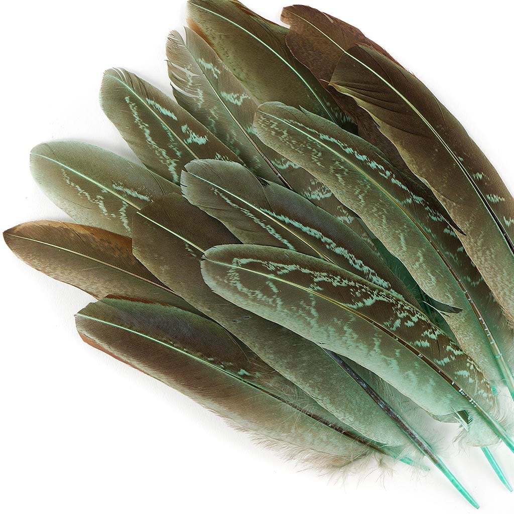 Pheasant Tail Feathers Dyed - Mint - Feathers