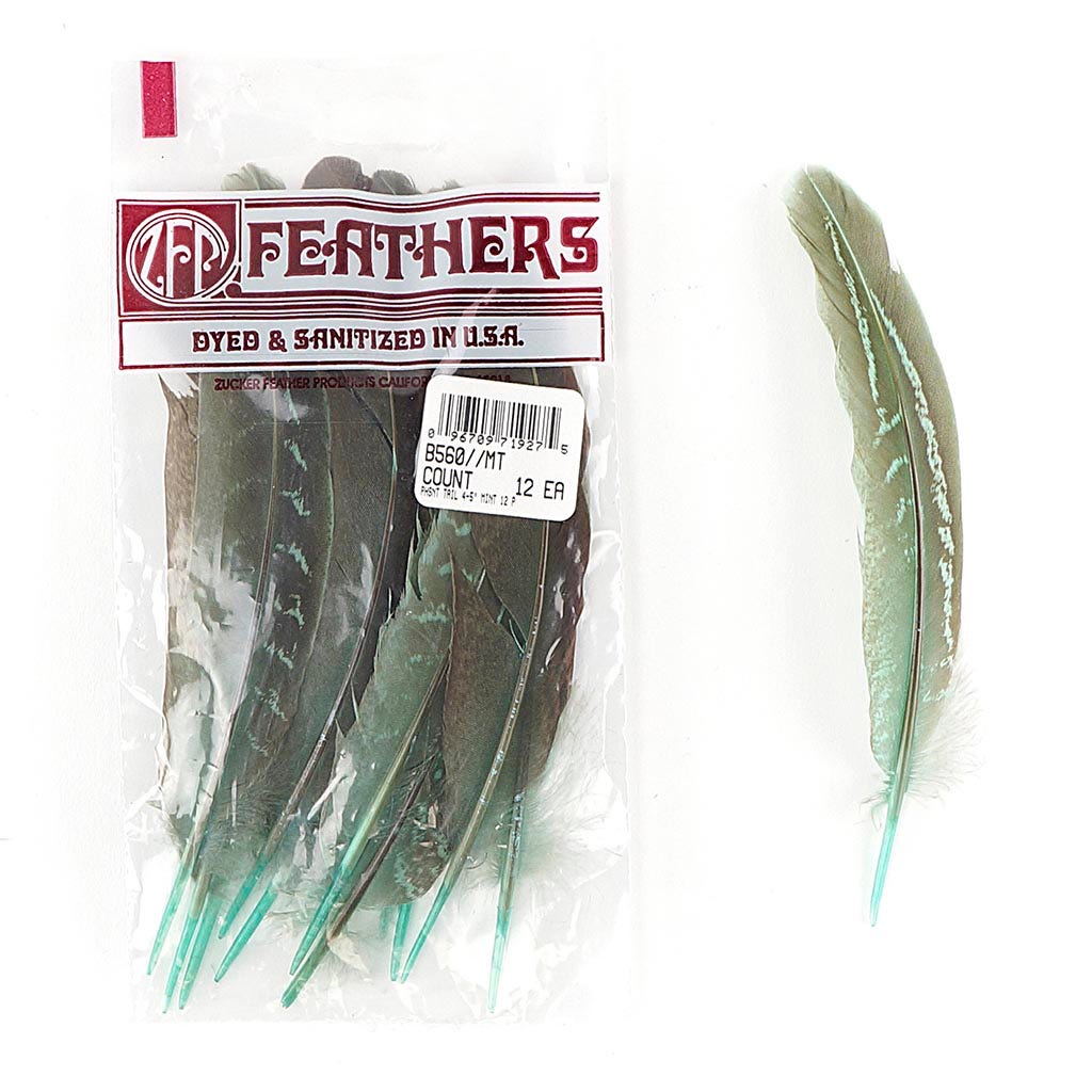 Pheasant Tail Feathers Dyed - Mint - Feathers