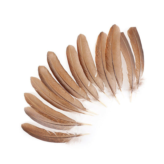 Pheasant Tail Feathers Dyed - Natural - Feathers