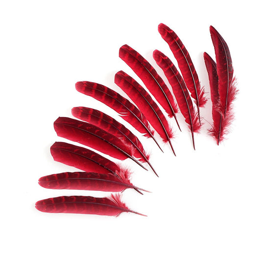 Pheasant Tail Feathers Dyed - Tango Red - Feathers