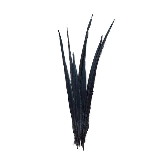 Pheasant Tails Assorted Bleached - Black - Feathers