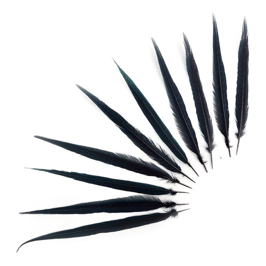 Pheasant Tails Assorted Bleached - Black - Feathers