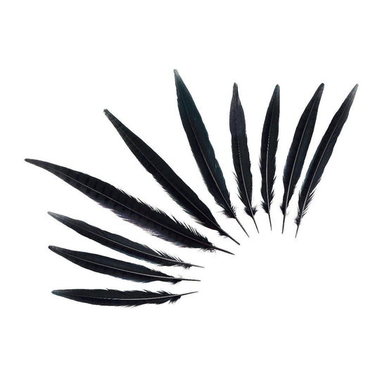 Pheasant Tails Assorted Bleached - Black - Feathers