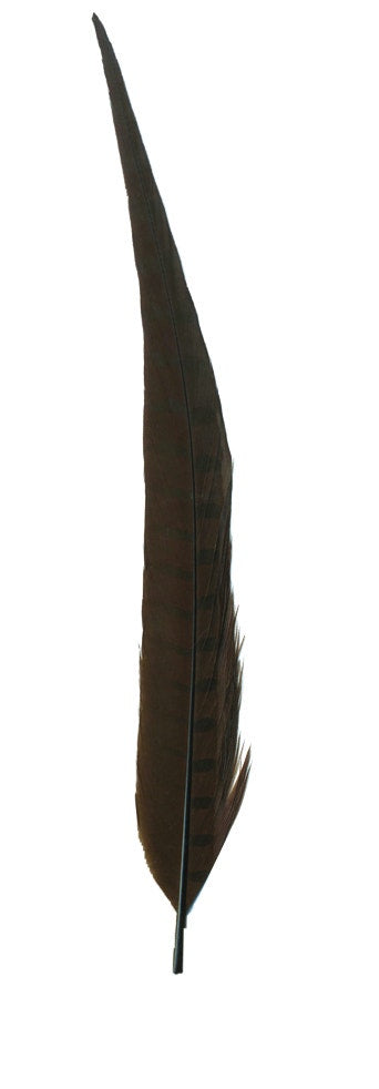 Pheasant Tails Assorted Bleached - Brown - Feathers