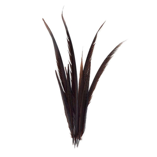 Pheasant Tails Assorted Bleached - Brown - Feathers