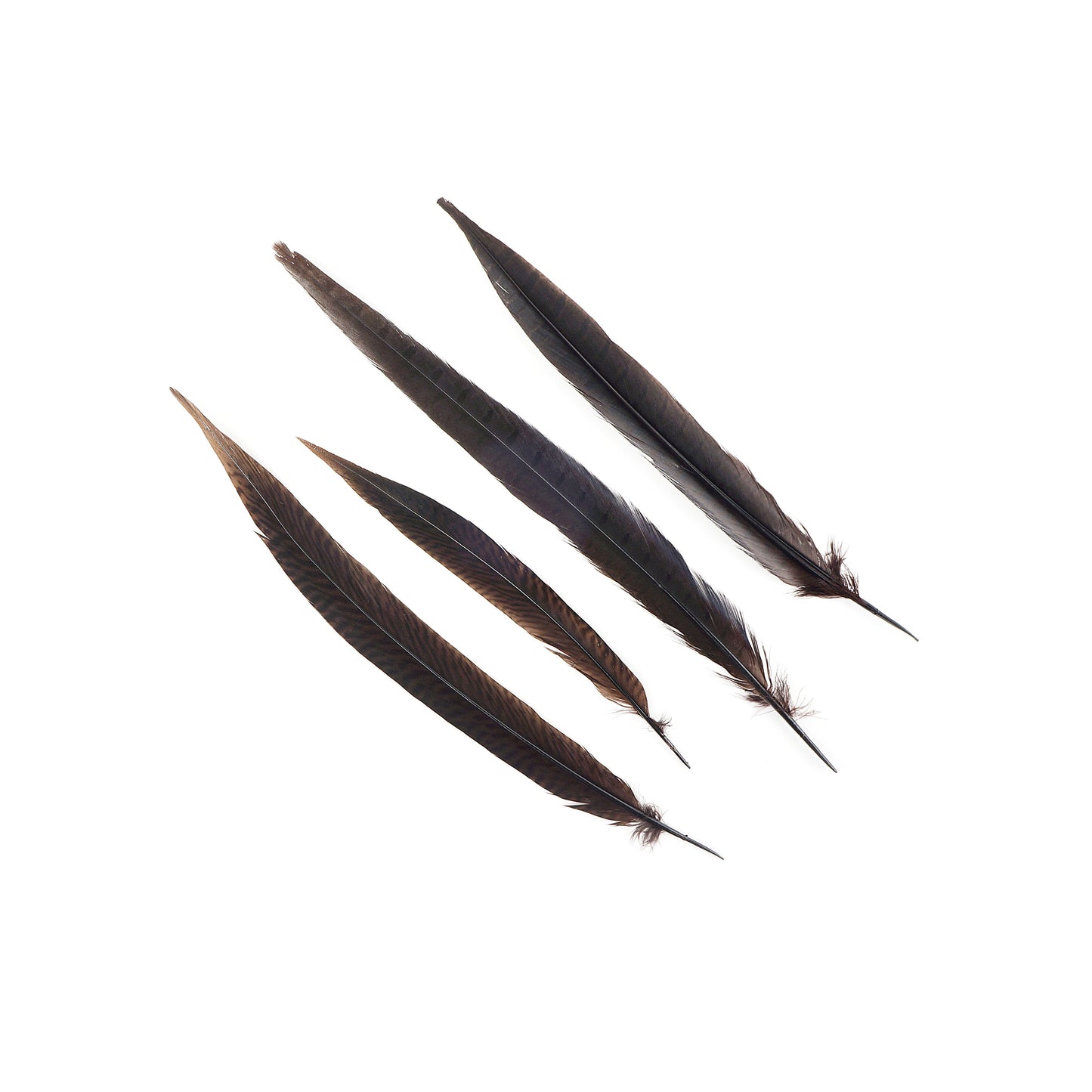 Pheasant Tails Assorted Bleached - Brown - Feathers