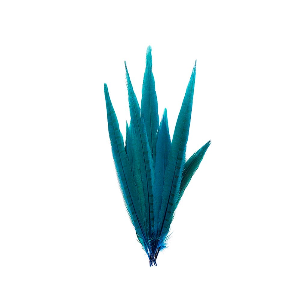 Pheasant Tails Assorted Bleached - Dark Turquoise - Feathers