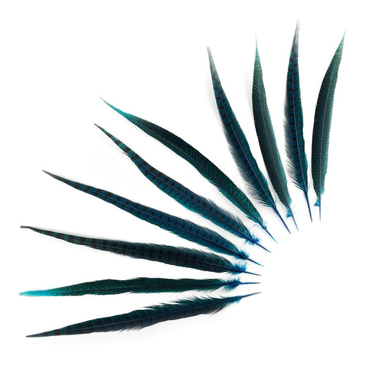 Pheasant Tails Assorted Bleached - Dark Turquoise - Feathers