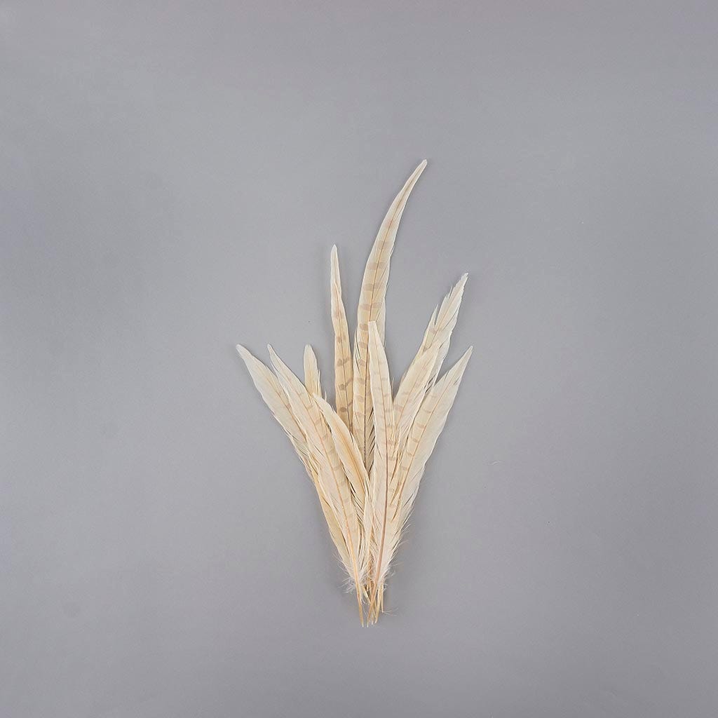 Pheasant Tails Assorted Bleached - Eggshell - Feathers