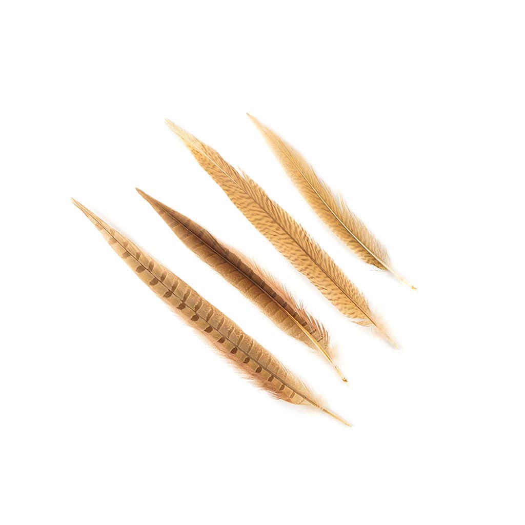 Pheasant Tails Assorted Bleached - Eggshell - Feathers