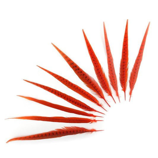 Pheasant Tails Assorted Bleached - Orange - Feathers