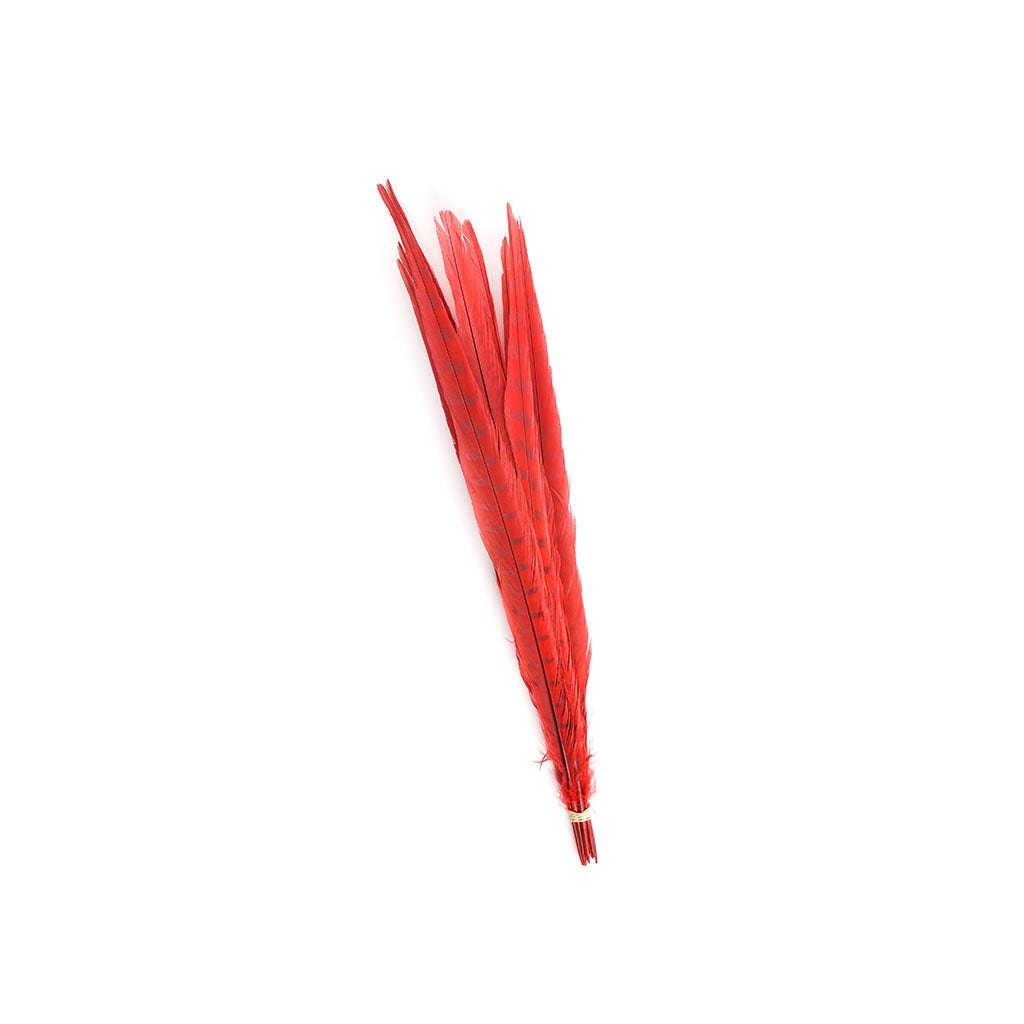 Pheasant Tails Assorted Bleached - Red - Feathers