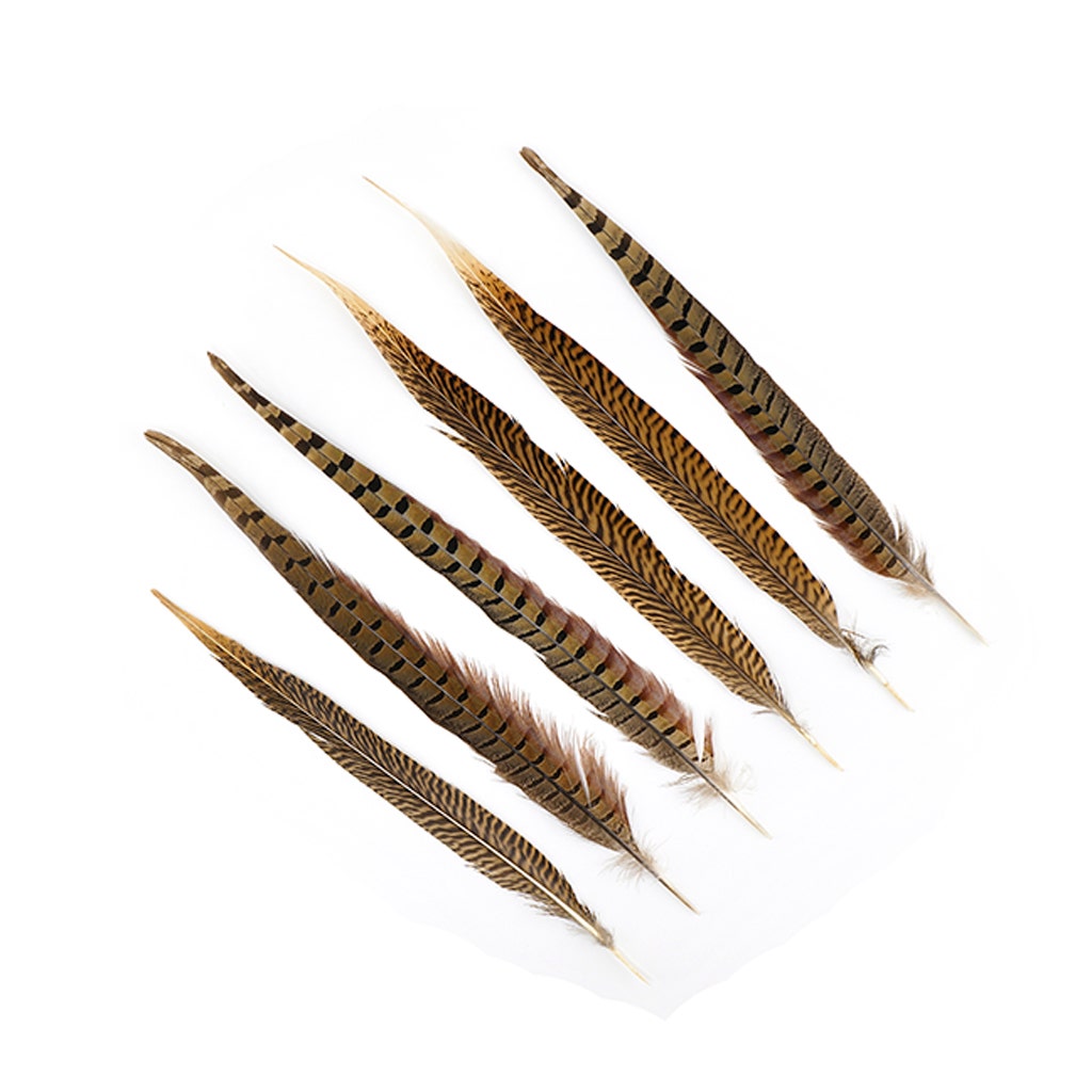 Pheasant Tails Assorted Natural -14 -18’’ - Feathers