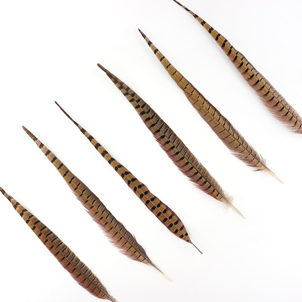 Pheasant Tails Assorted Natural -14-18’’ - Feathers