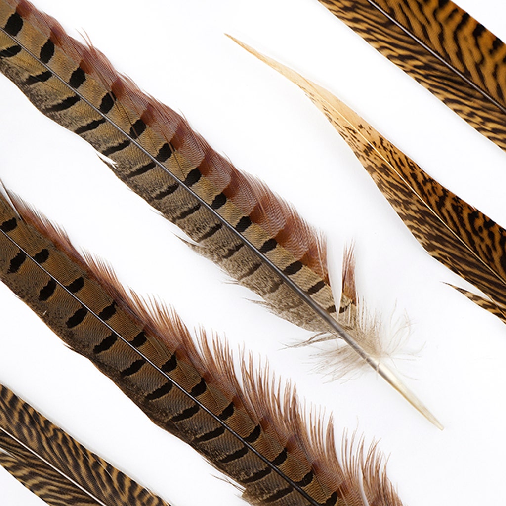 Pheasant Tails Assorted Natural -14 -18’’ - Feathers