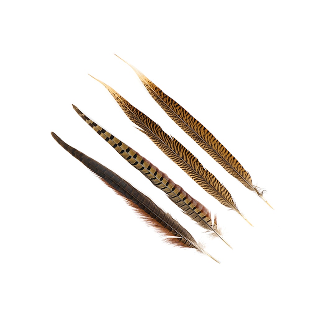 Pheasant Tails Assorted Natural -14 -18’’ - Feathers