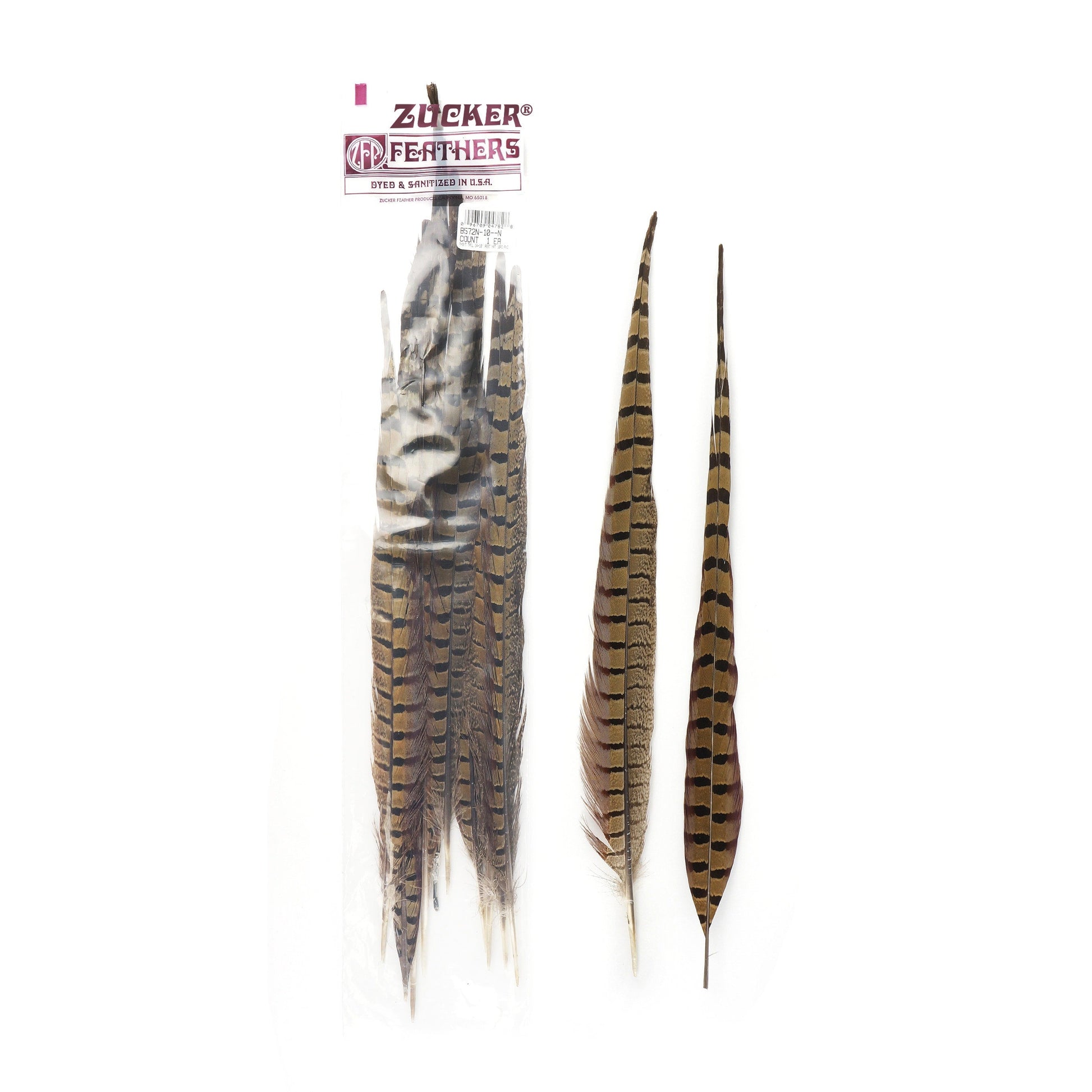 Pheasant Tails Assorted Natural -14-18’’ - Feathers