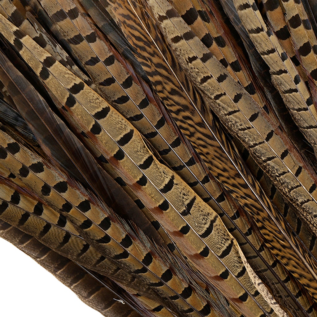 Pheasant Tails Assorted Natural -14 -18’’ - Feathers