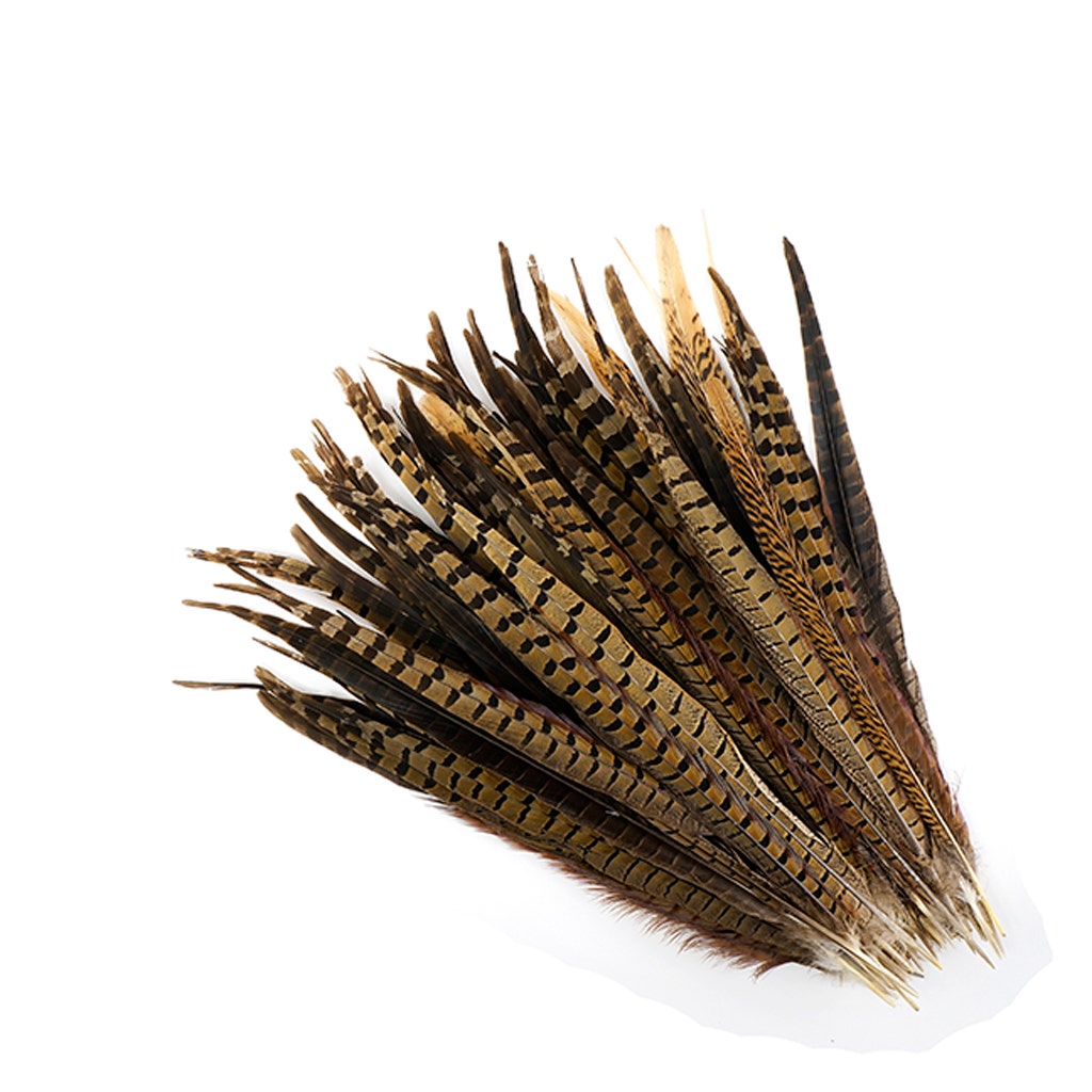 Pheasant Tails Assorted Natural -14 -18’’ - Feathers