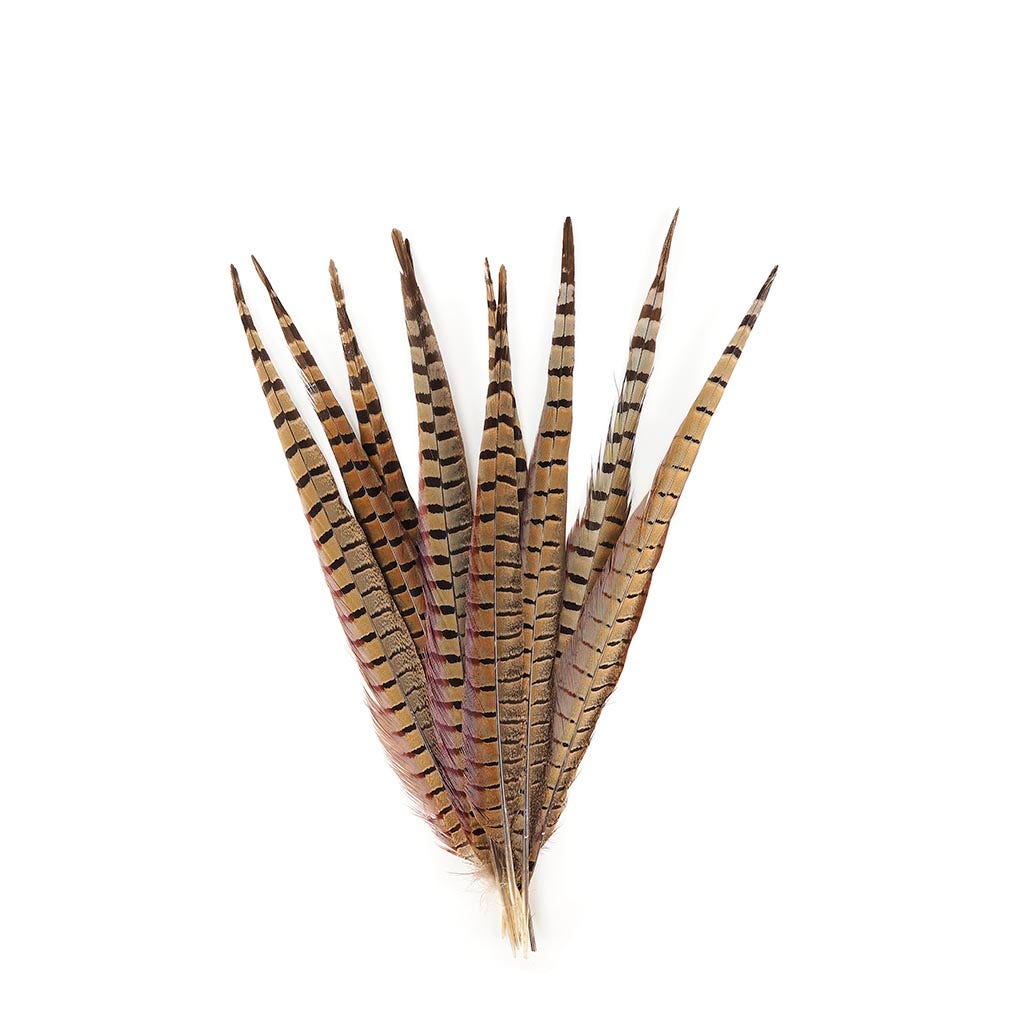 Pheasant Tails Assorted Natural -14-18’’ - Feathers