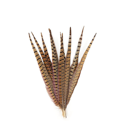 Pheasant Tails Assorted Natural -14-18’’ - Feathers