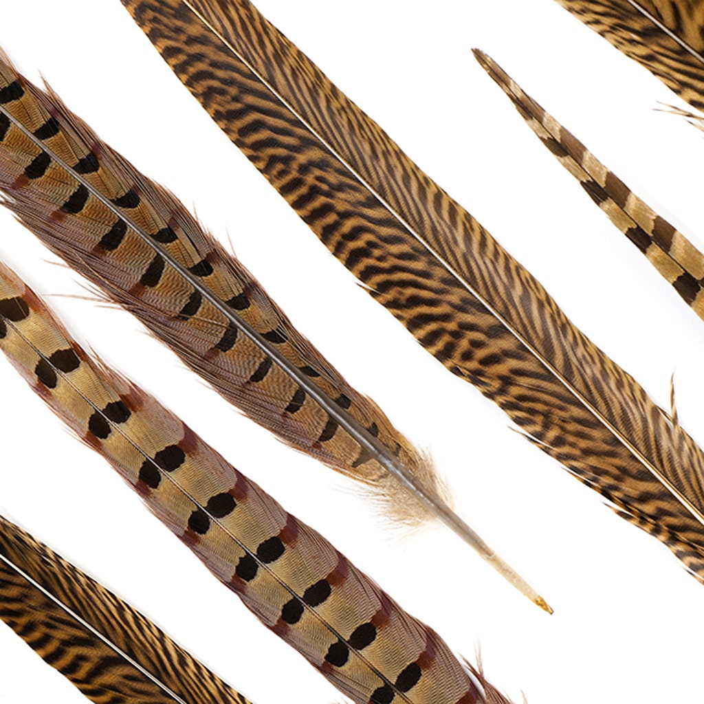 Pheasant Tails Assorted Natural - 16 - 30’’ - Feathers