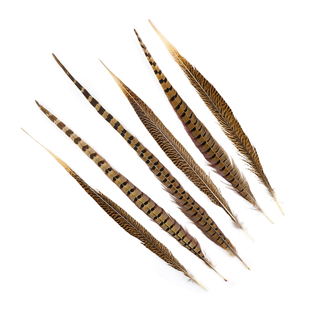 Pheasant Tails Assorted Natural - 16 - 30’’ - Feathers