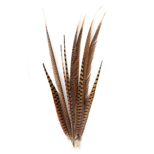 Pheasant Tails Assorted Natural -16-30’’ - Feathers