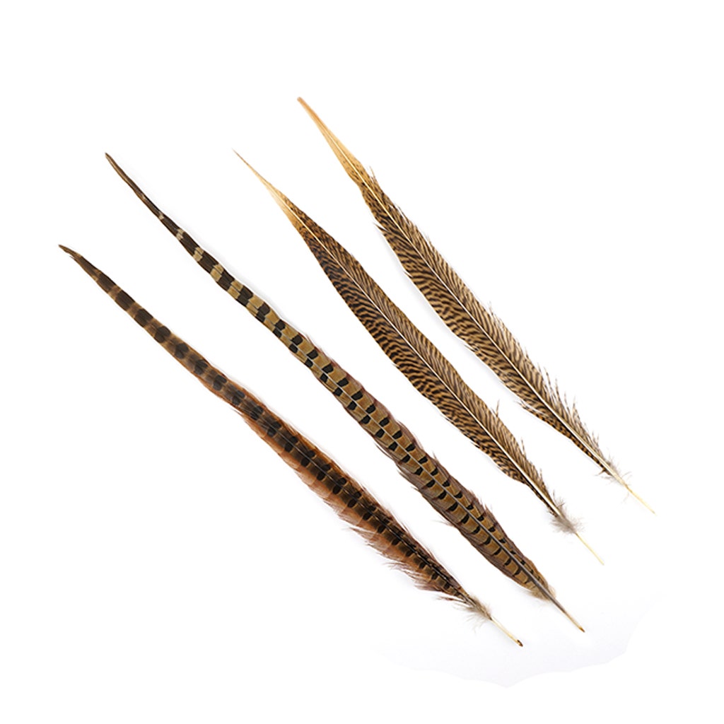 Pheasant Tails Assorted Natural - 16 - 30’’ - Feathers