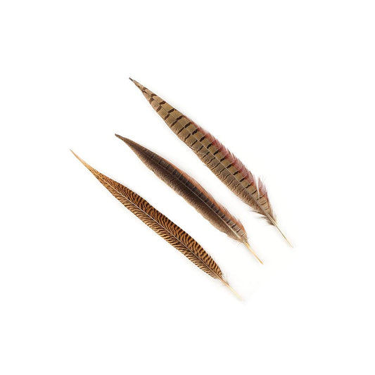 Pheasant Tails Assorted Natural - 8-14’’ - Feathers