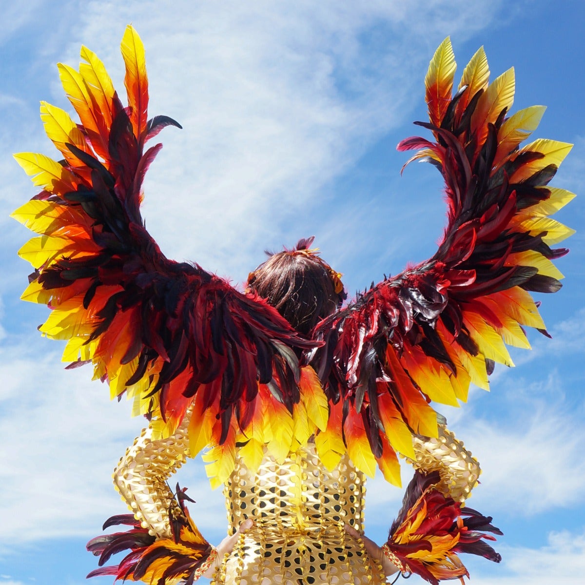 Phoenix Firebird Dyed Feather Wings - Red - Feathers