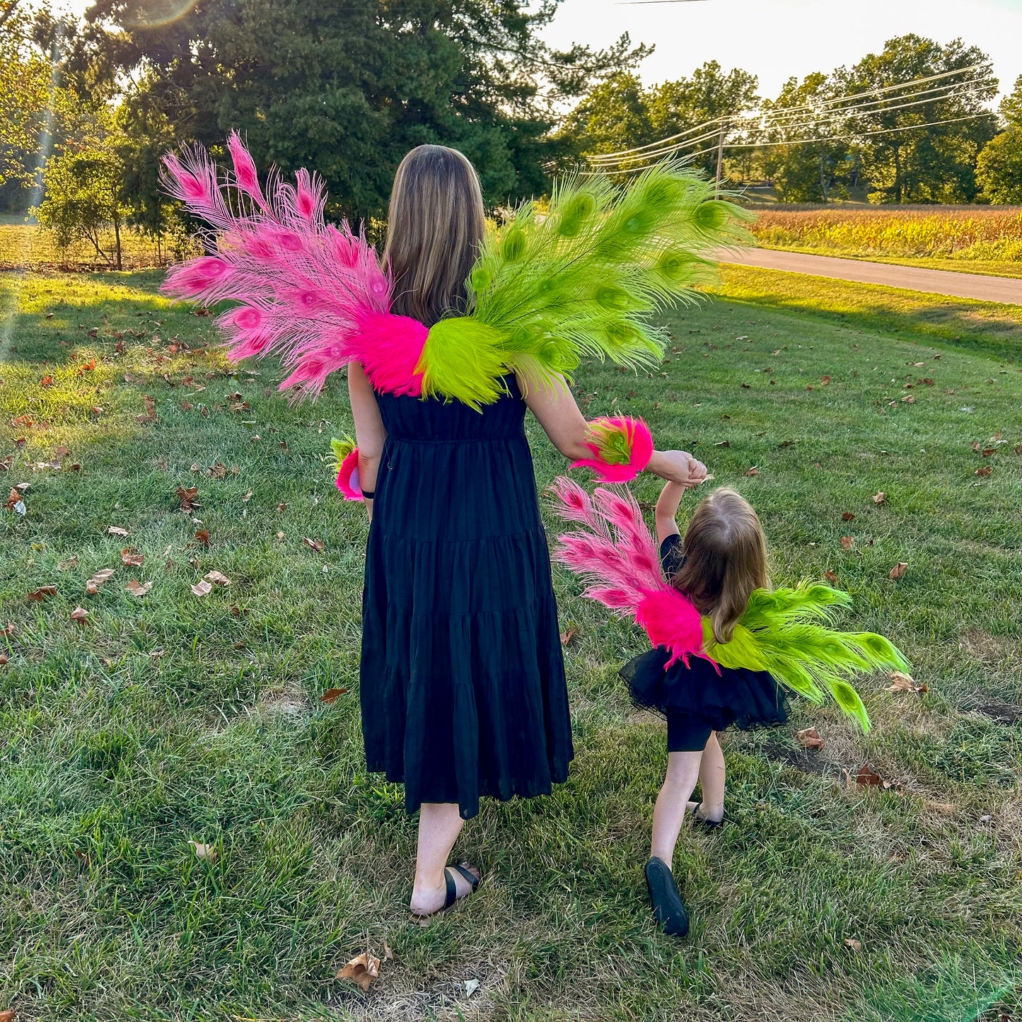 Wicked Peacock Fairy Wings & Cuffs