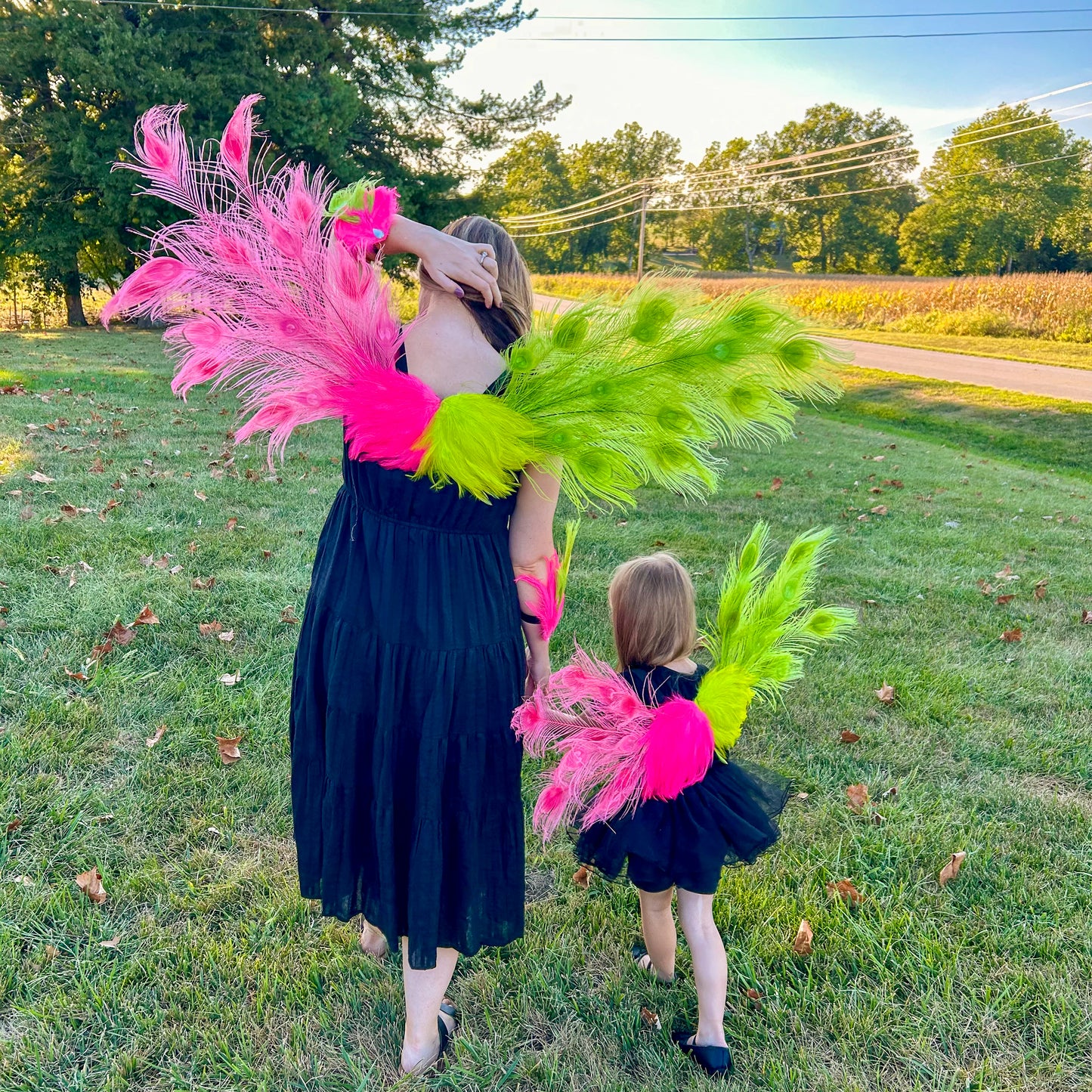 Wicked Peacock Fairy Wings & Cuffs