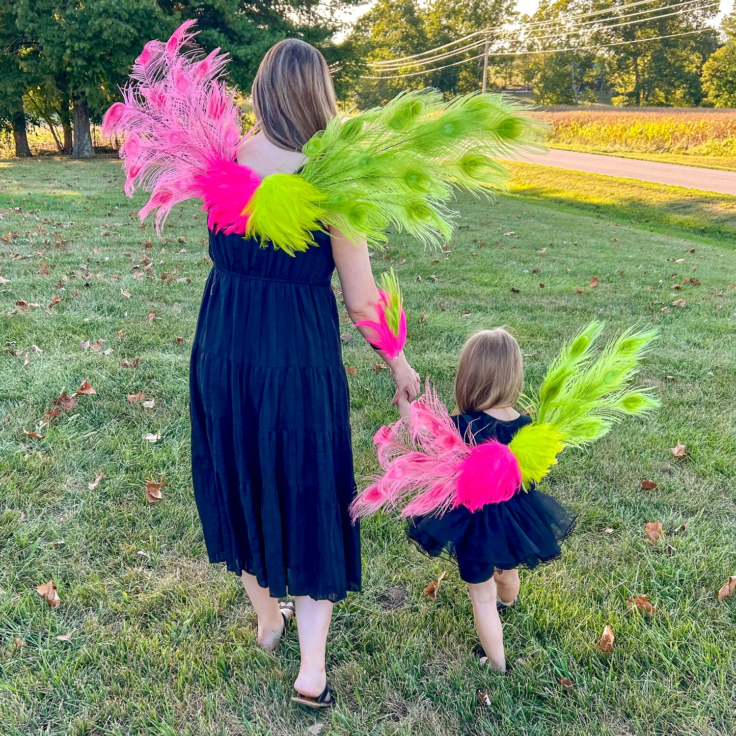 Wicked Peacock Fairy Wings & Cuffs