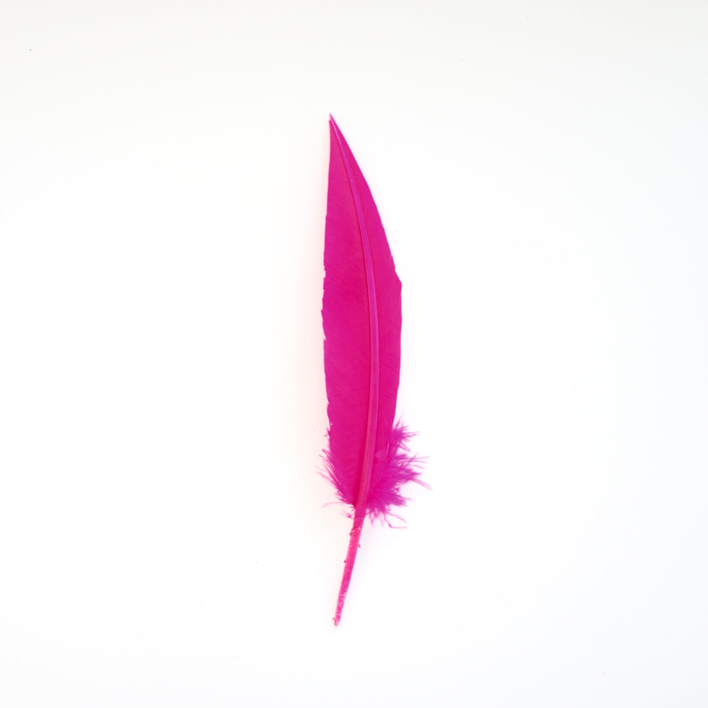 Pink Orient Dagger Turkey Quill Feathers 9-12"