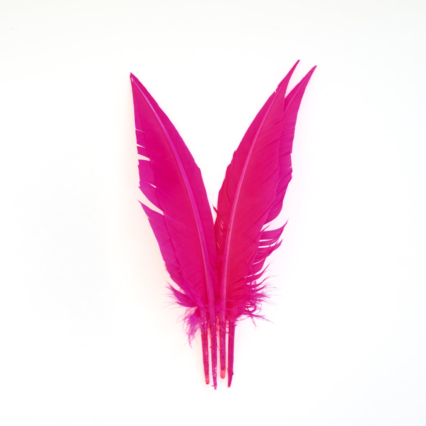 Pink Orient Dagger Turkey Quill Feathers 9-12"