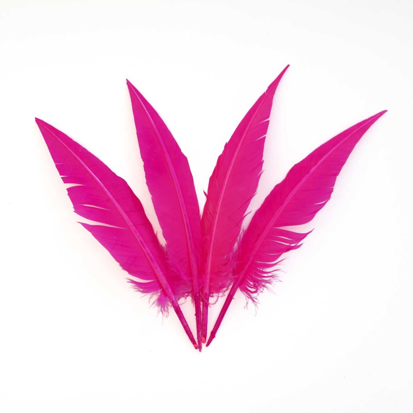 Pink Orient Dagger Turkey Quill Feathers 9-12"