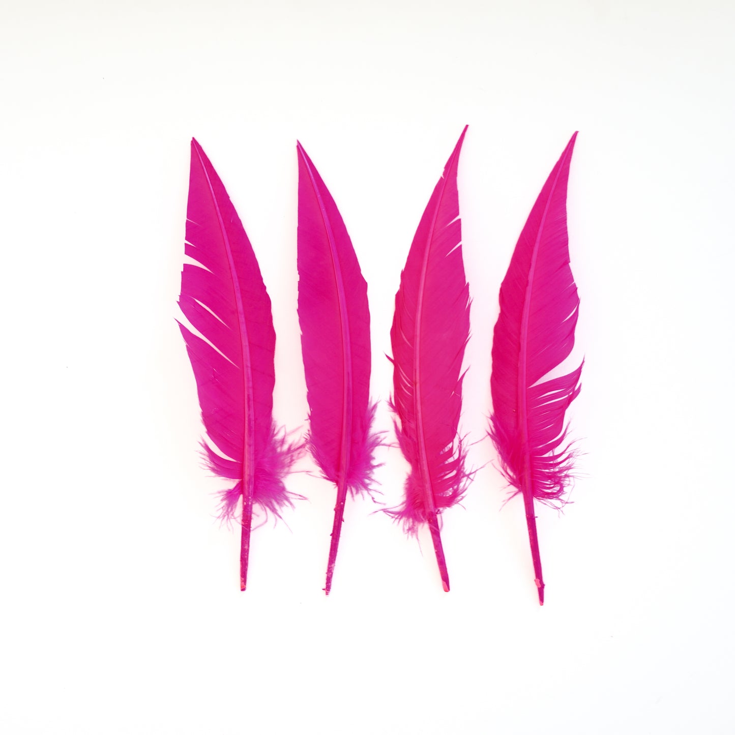 Pink Orient Dagger Turkey Quill Feathers 9-12"