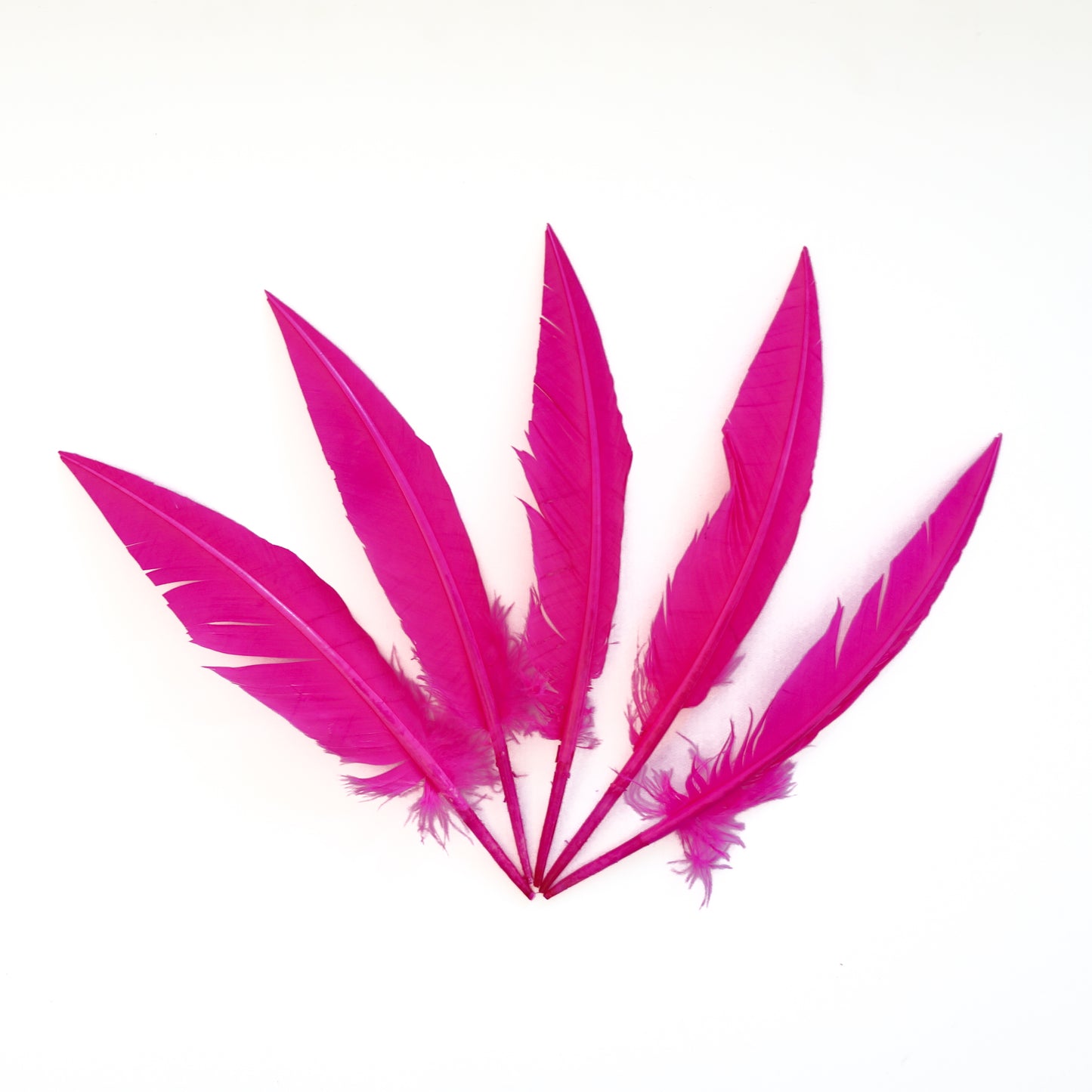 Pink Orient Dagger Turkey Quill Feathers 9-12"