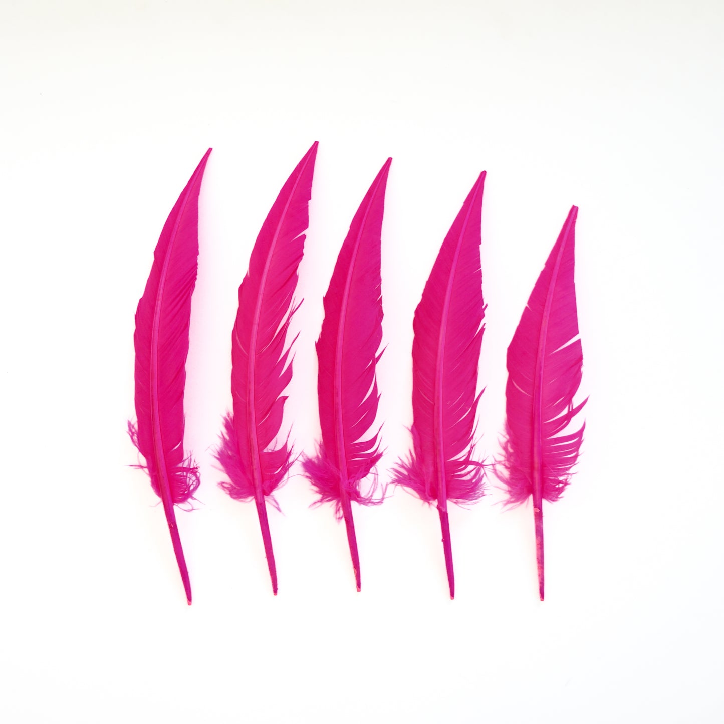 Pink Orient Dagger Turkey Quill Feathers 9-12"