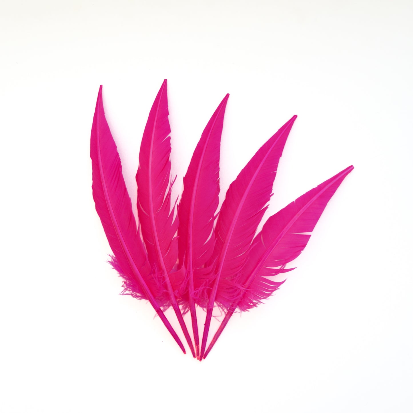 Pink Orient Dagger Turkey Quill Feathers 9-12"