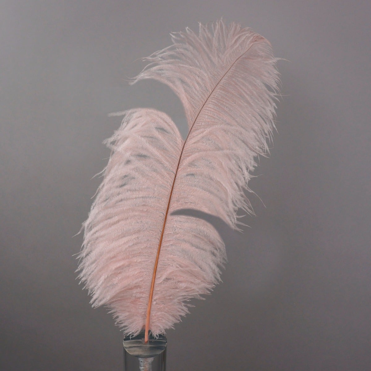 Bulk Ostrich Feathers-Damaged Drabs - Champagne