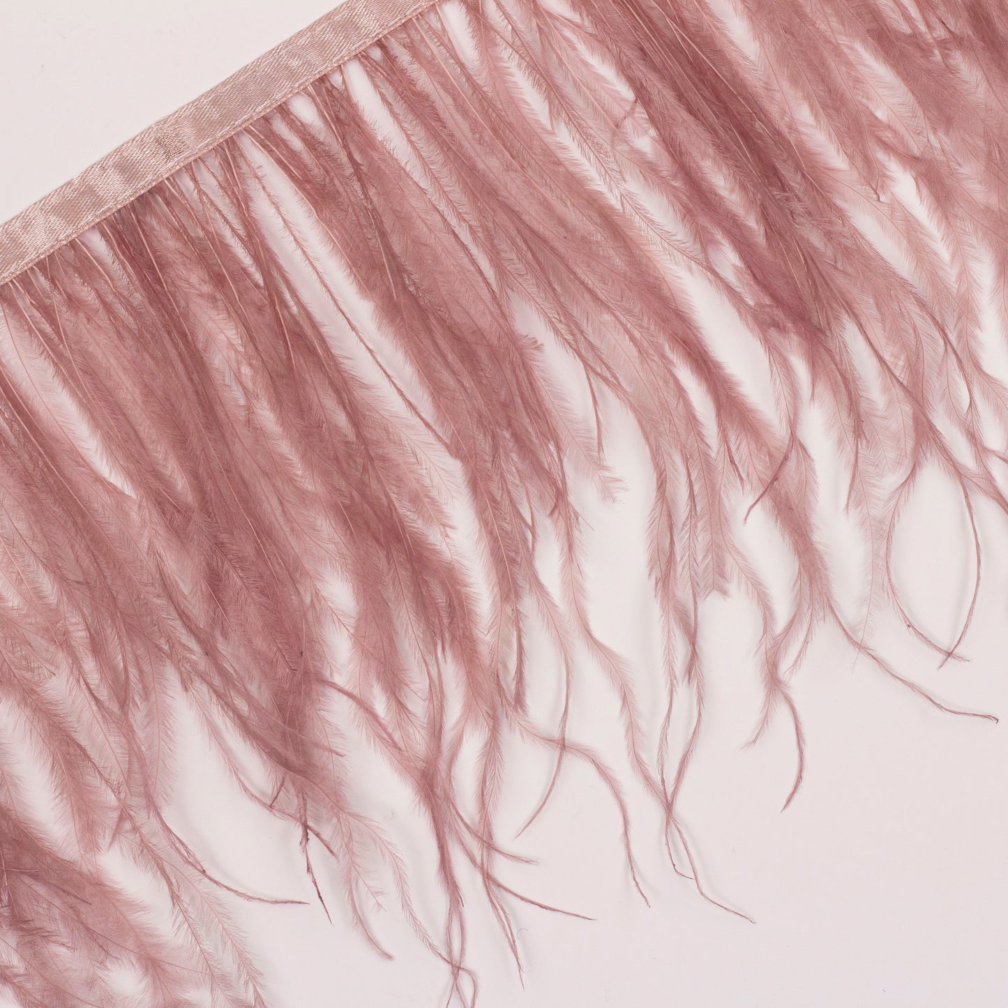 One-Ply Ostrich Feather Fringe - 5 Yards - Mauve