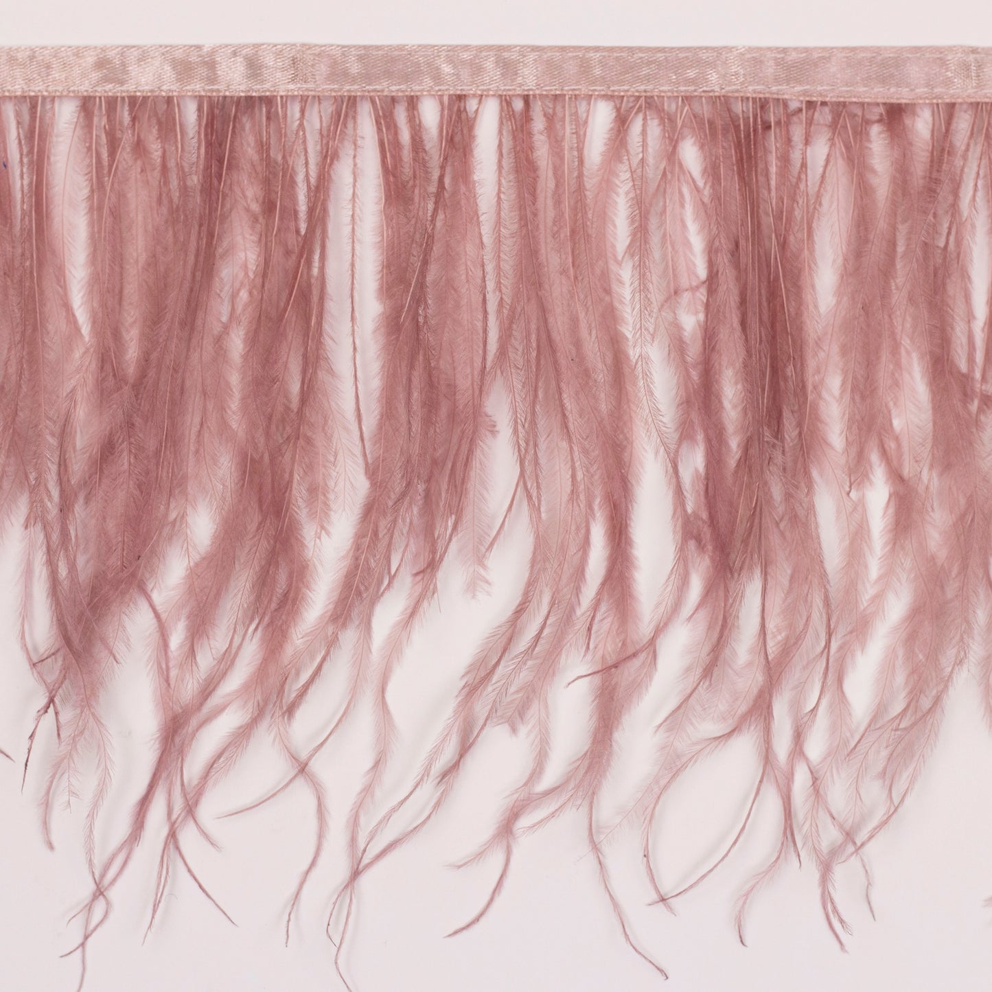 One-Ply Ostrich Feather Fringe - 1 Yard - Mauve